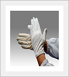 Cleanroom Products (P/U GLOVE)